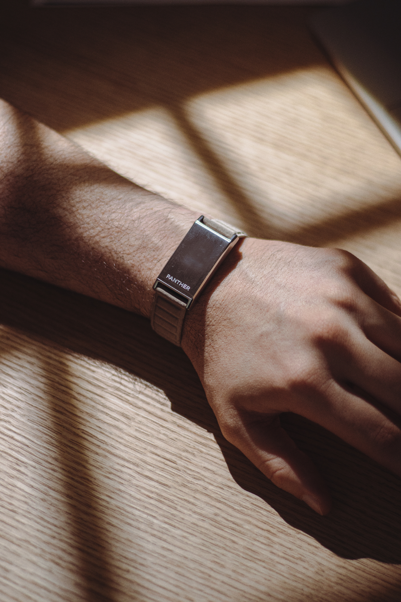 The Panther Eclipse, a screenless stainless steel health wearable, on a wrist